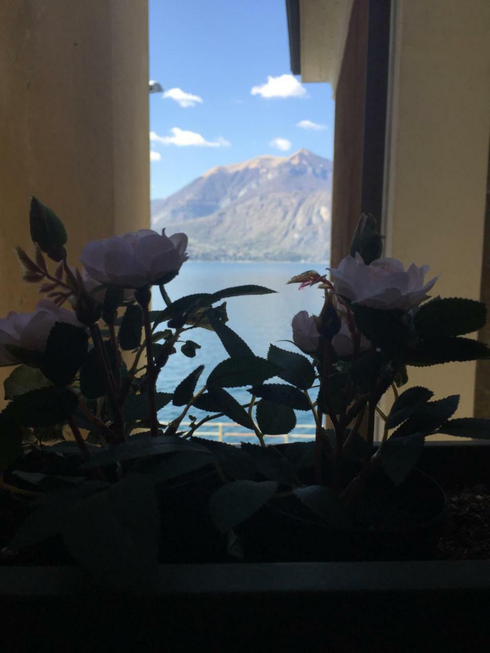 Appartamento Cozy Garden Retrait Varenna Esterno foto